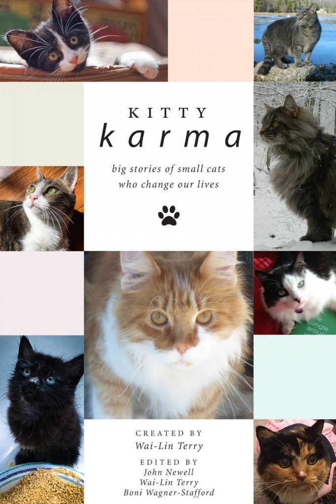 Kitty Karma cover image.